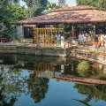 South Indian Wedding at Tamarind Tree Bengaluru
