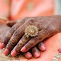 South Indian Wedding