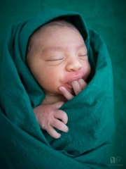 Newborn Portrait