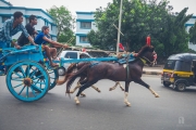horse carriage mumbai