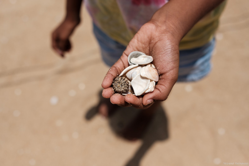 A-Handful-of-sea-shells-at-Tannirbhavi-beach-in-mangalore