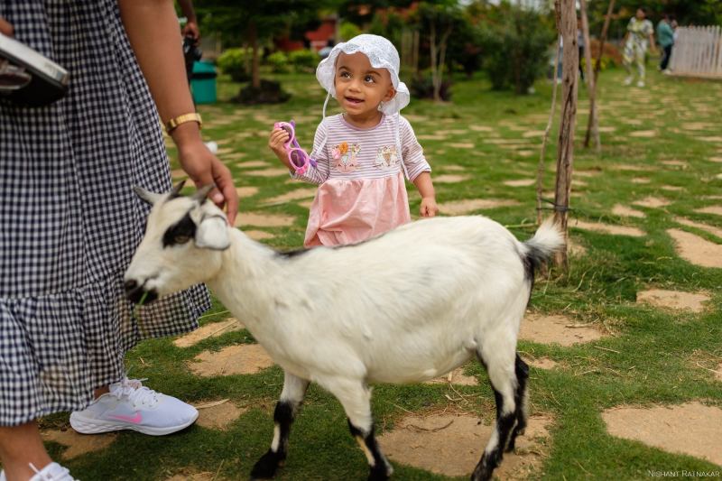 Picket-Fence-Farm-Goat-and-Child