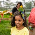 Parrot-resting-on-a-girl-in-Picket-Fence-Picnic